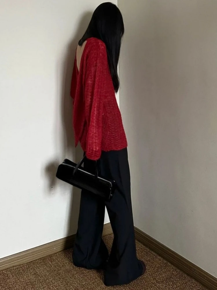 Y2K See-Through Knitted Women' - Embroidery Shirt ulasan dan harga
